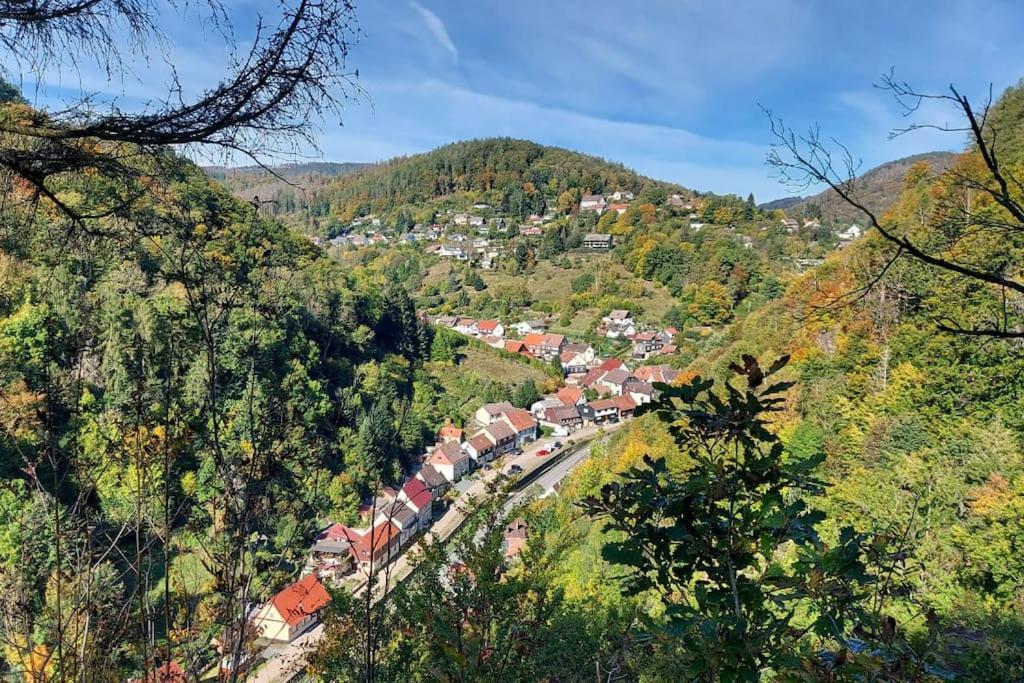 Ferienwohnung Sued - West Harz Mit Sauna E-Bikes Vorhanden! Horden am Harz Exteriér fotografie