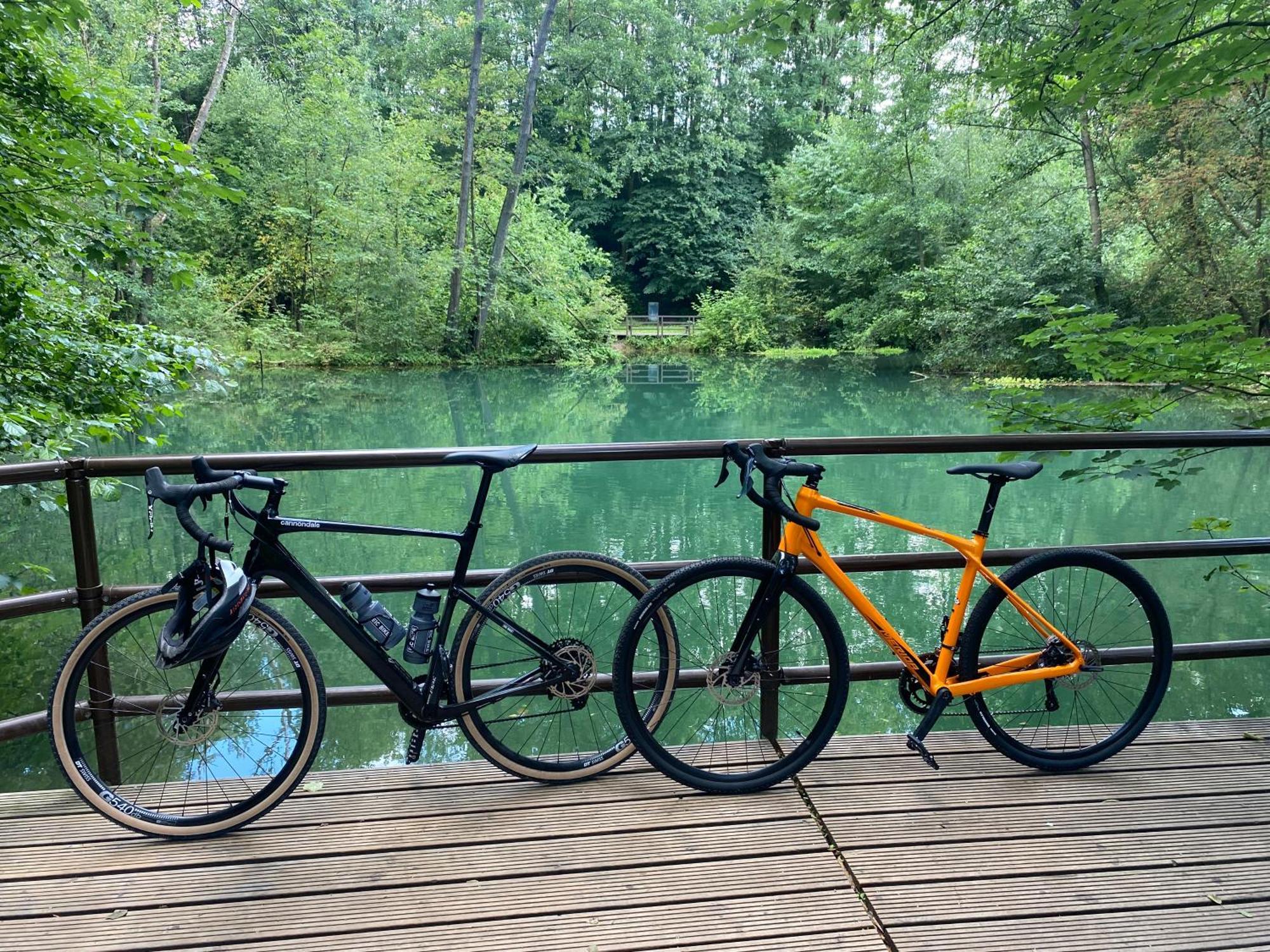 Ferienwohnung Sued - West Harz Mit Sauna E-Bikes Vorhanden! Horden am Harz Exteriér fotografie